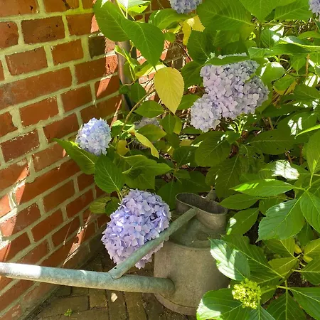 Apartment 2 Holthusen 25516 Weener