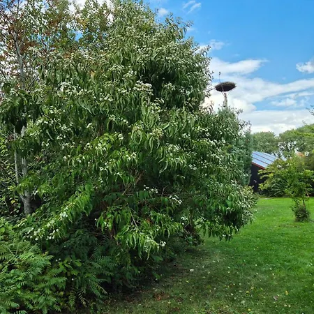 2 Holthusen 25516 Apartment Weener